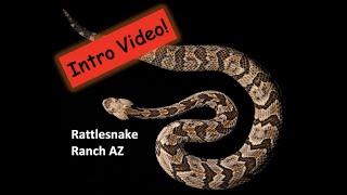 Intro  Rattlesnake Ranch AZ [upl. by Azeret]