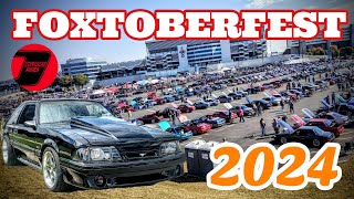 I Brought My Cammed 1987 Mustang GT Foxbody to Foxtoberfest 2024 [upl. by Beckerman766]