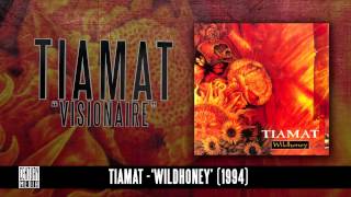 TIAMAT  Visionaire Album Track [upl. by Anwahsak]