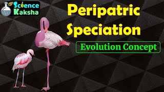 PERIPATRIC SPECIATION In Hindi  CSIR NET  GATE  EVOLUTION [upl. by Hunfredo]