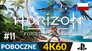 Horizon Forbidden West PL 🌍 11 POB 🏹 Pierwszy obóz i koniec sprawy Ulvunda  Gameplay po polsku 4K [upl. by Okime]