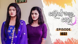 Tarini Akhira Tara  Full Ep 1037  19th July 2021  Odia Serial – TarangTV [upl. by Aihsenat]