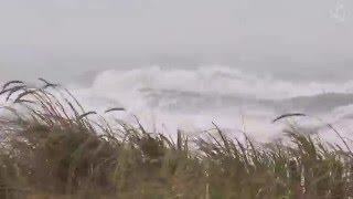 🌀 Hurricane Storm Ambience on the Beach with Heavy Rough Ocean Waves Crashing on the Coast [upl. by Massarelli]