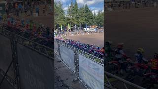 65cc class start gate 2024 Junior Motocross World Champs Heerde motocross 65cc mx ktm65 yz65 [upl. by Tallia]