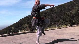 Master Shi Yan Yue Demonstrates Shaolin Lian Huan Quan 連環拳示範 [upl. by Aicatsana302]