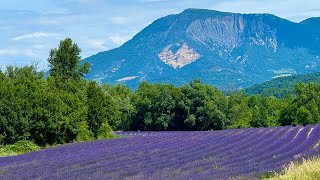 Verdon Gorges du Cians e Daluis Provenza in moto [upl. by Eliath100]