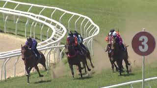 Heat 21  Doomben Jumpouts 10102023 [upl. by Airetak]