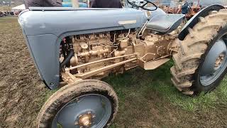 1957 Ferguson FE35 Gold Belly 23 Litre 4Cyl Diesel Tractor 34 HP [upl. by Ileyan100]