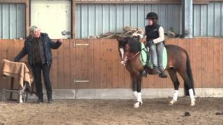 Para Equestrain Dressage  2 Dressurlehrgang Impressionen [upl. by Audras]