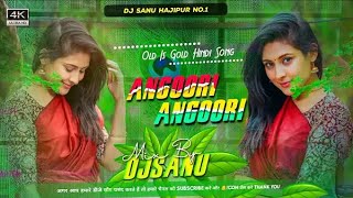 DjRaju Dj remix Hajipur Jhan Jhan Bass Hard Bass Toing Mix Angoori Angoori Hindi New Song 2023 2024 [upl. by Jaehne]