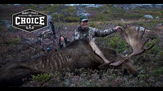 Vicki Cianciarulo Takes Bull Moose with Browning Rifle in Newfoundland with Her Son RJ Filming [upl. by Esadnac957]