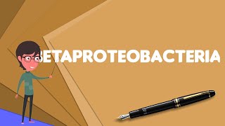 What is Betaproteobacteria Explain Betaproteobacteria Define Betaproteobacteria [upl. by Eineeuq]