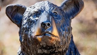 Black Bear Cub Carving [upl. by Heins531]