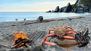 Catching Crabs and Lobsters by hand and Wild Beach Cooking [upl. by Sammons]