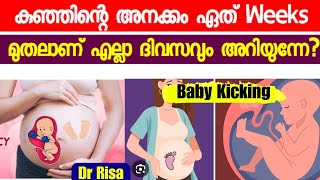 Baby Movement During Pregnancy Malayalam  Which Weeks Fetal Kick Start [upl. by Sheets466]