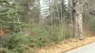 SOLD ME Real Estate Land Wooded 10 Acres For Sale In Prentiss Maine MOOERS 7607 [upl. by Winn760]