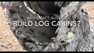 Why don’t Aussies build Log Cabins [upl. by Nnylyrehc]