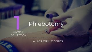 Phlebotomy [upl. by Lacsap]