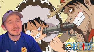 The Straw Hats Reunite After 2 Years  One Piece Reaction Episode 517518 [upl. by Ardnad65]