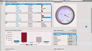 BI Dashboard Best Practice Webinar 2013 [upl. by Aneem]