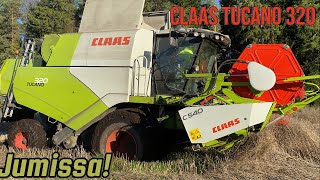 Claas Tucano Jumissa ja Hinausta  Rypsin puintia [upl. by Ahsineg]