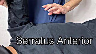 How to do myofascial release for serratus anterior English [upl. by Perrine]