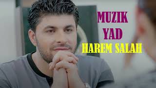 Harem Salah  Muzik Yad 2024 [upl. by Noskcaj]