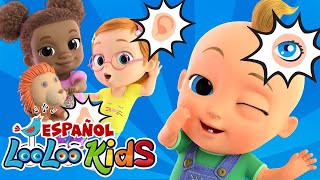 🎵 Cinco Sentidos y Debajo un Botón  Música Infantil con LooLooKidsEspanol 🎶 Canciones para Niños [upl. by Fesoy464]