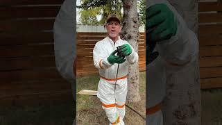 A tip staining your fence tipsandtricks [upl. by Angeline]