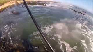 Pesca Bailas ao Spinning  Figueira da Foz Spotted seabass Fishing [upl. by Digirb]