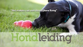 Moeilijkere Kong maken voor de hond [upl. by Ardnaxela]