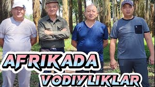 AFRIKADA VODIYLIKLAR [upl. by Enomad]