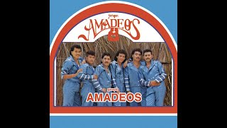 MIX DE GRUPO AMADEOS [upl. by Meehahs646]