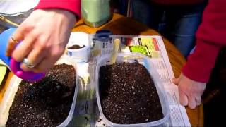 Its Time To Start Planting  Wisconsin Garden Video Blog 370 [upl. by Oile]