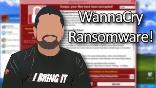 WannaCry Ransomware Explained How to Stay Safe [upl. by Yrocej882]