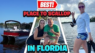 Best Scalloping in Florida [upl. by Atteroc]