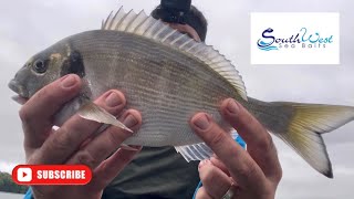 Sea fishing UK  Gilthead bream fishing  Bass fishing  Salcombe estuary [upl. by Haskel]