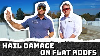 Roofing Inspection  Hail Damage On Flat Roof [upl. by Nylimaj]