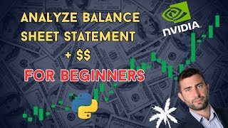 How To Analyze Balance Sheet Of Any Stock with Python For Beginners [upl. by Kcirderfla]