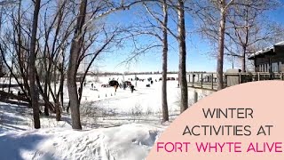 Winter Activities At Fort Whyte Alive [upl. by Adnole]