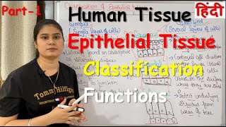 Tissue in Hindi  Epithelial Tissue  Functions  Classification  Part1 [upl. by Walford752]