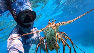 Lobster turmeric sauce and caviar sea urchin recipe Recette de langouste curcuma et caviar doursin [upl. by Adao231]