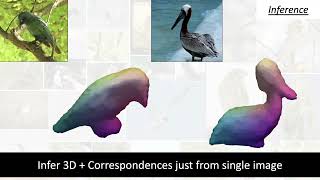 CVPR 2022 Predicting 3D shape and correspondence from Single 2D Image [upl. by Toulon]