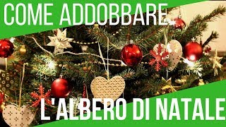 COME ADDOBBARE L ALBERO DI NATALE  5 TRUCCHI FONDAMENTALI  ORTO E GIARDINAGGIO [upl. by Zacharia]