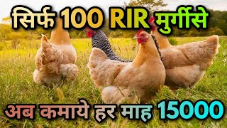 सिर्फ 100 RIR मुर्गी के फॉर्म से अब कमाये हर माह 15000 का मुनाफा जरुर देखिये [upl. by Yxor]