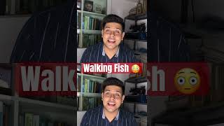 quotWalking Fish Nature’s Amazing Amphibious Creatures Explainedquot facts shorts [upl. by Coster159]