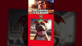 ¡Elige correctamente 🧠 Salva al pequeño 🐕 shortclips parati eligebien [upl. by Adnuhs477]