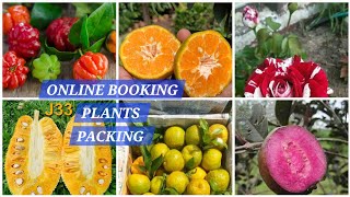 200 ONLINE ORDER PLANTS PACKING DISPATCH  DIFFERENT ROSE COLLECTION amp FLOWER PLANTS [upl. by Deni43]