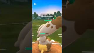 GALAR CUP SHOWDOWN DIGGERSBY BRONZOR SHUCKLE BATTLE  POKEMON GO PVP [upl. by Christabelle]