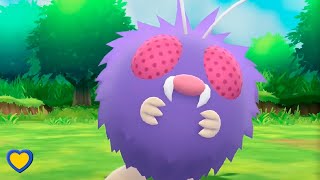 HOW TO GET Venonat in Pokémon Lets Go Pikachu amp Eevee [upl. by Thornburg]